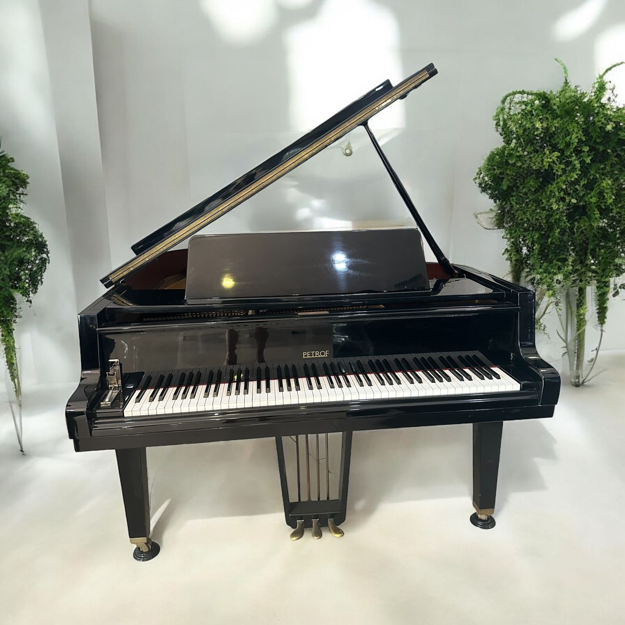 Image for Petrof Grand Piano